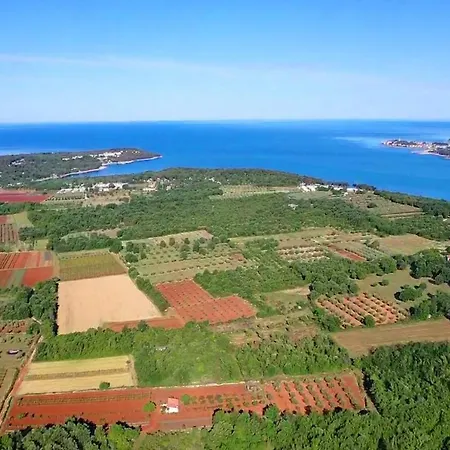 Apartman Slavko Tar-Vabriga